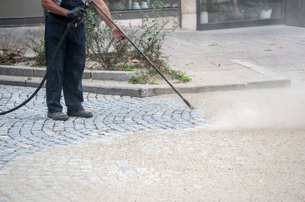 Best Fence Cleaning and Maintenance in Audubon Park, NJ